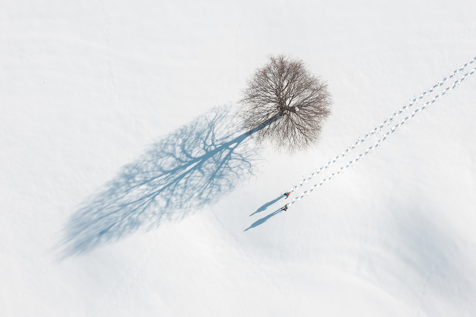 hd Schneeschuhwandern am Wilden Kaiser 5©mathaeusgartner